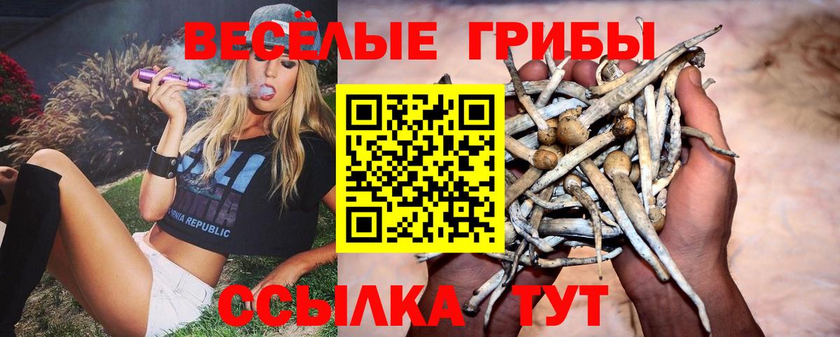 Усинск  Псилоцибиновые грибы MAGIC MUSHROOMS  Вход с VPN 